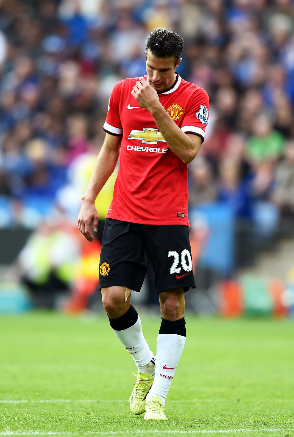 收假，山东泰山队今日重新集中，在基地进行恢复性训练