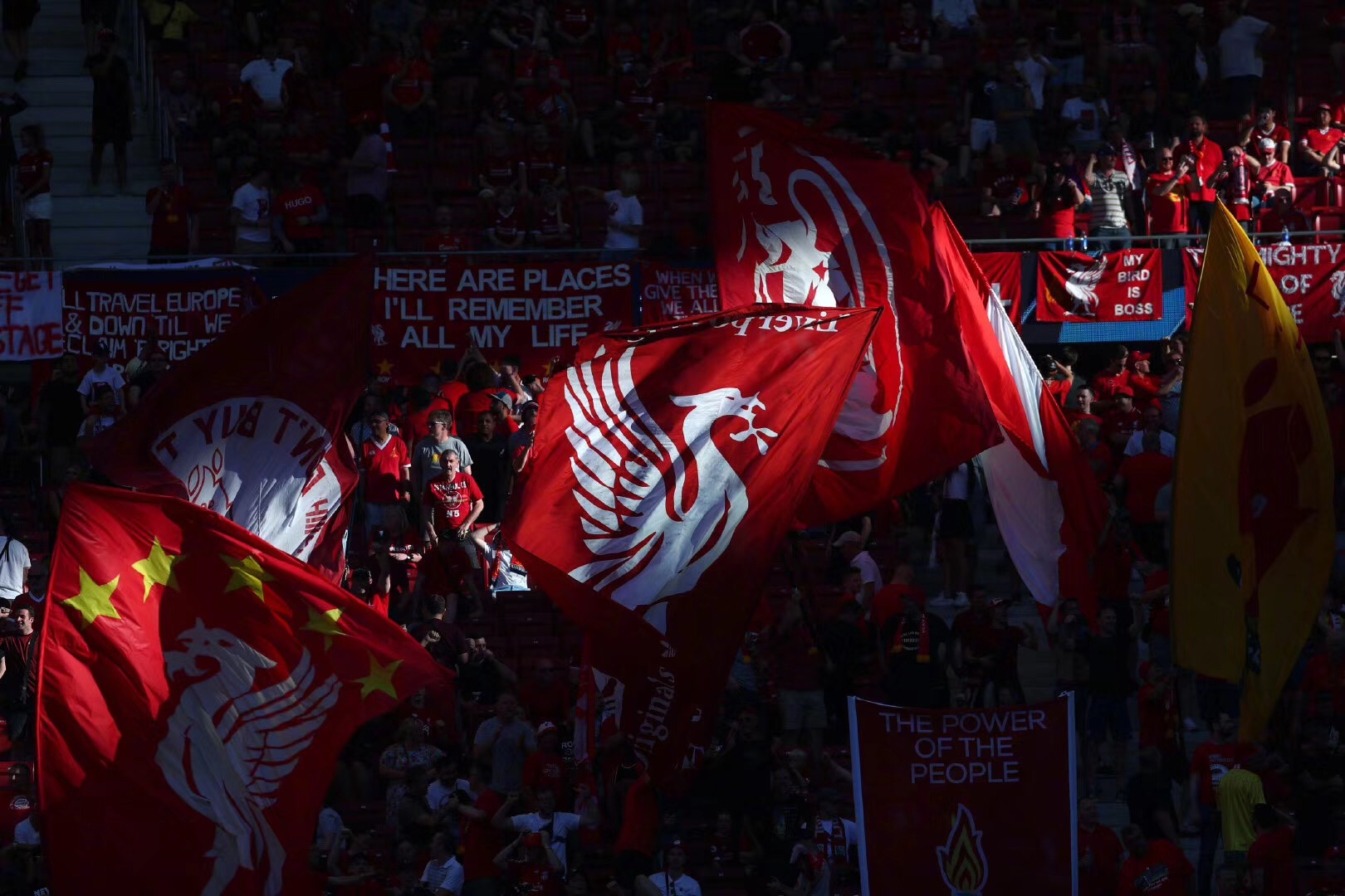 【德甲联赛第15轮】汉堡vs法兰克福伤病名单最新（德甲第15轮，汉堡对阵法兰克福：最新伤病名单）